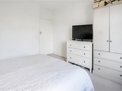 Picture 23